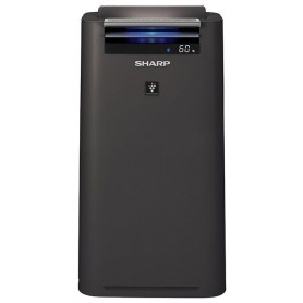 Увлажнитель воздуха Sharp KCG41RH