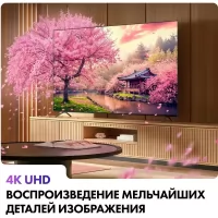 Телевизор HAIER DH1VM8D03RU