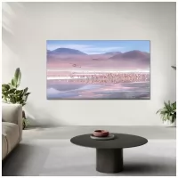 Телевизор TCL 43P7K