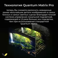 Телевизор Samsung QE75QN900CUXCE
