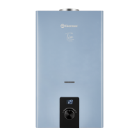 Водонагреватель проточный газовый THERMEX T 20 D (Silver Grey)
