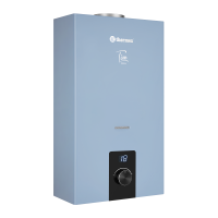 Водонагреватель проточный газовый THERMEX T 20 D (Silver Grey)