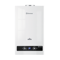 Водонагреватель проточный газовый THERMEX B 20 D Pro