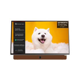 Телевизор Skyworth 24LP60G