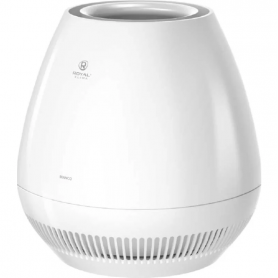 Мойка воздуха Royal clima RAW-B350/4.2E-WT