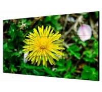 Экран LCD HIKVISION DS-D2055LE-G