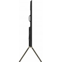 Телевизор Skyworth 100Q79H