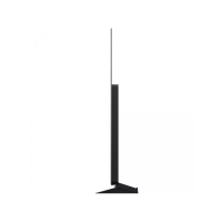 Телевизор LG OLED55C6RLA